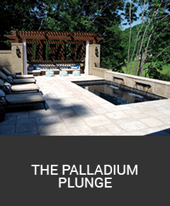 the-palladium-plung